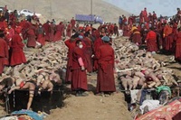 Muslim Massacre In Myanmar1 burma